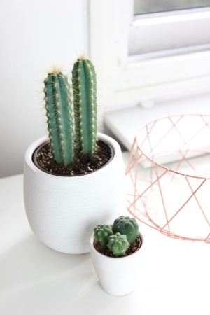 minimal_bronze_stock_photo_03