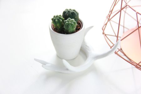 minimal_bronze_stock_photo_13